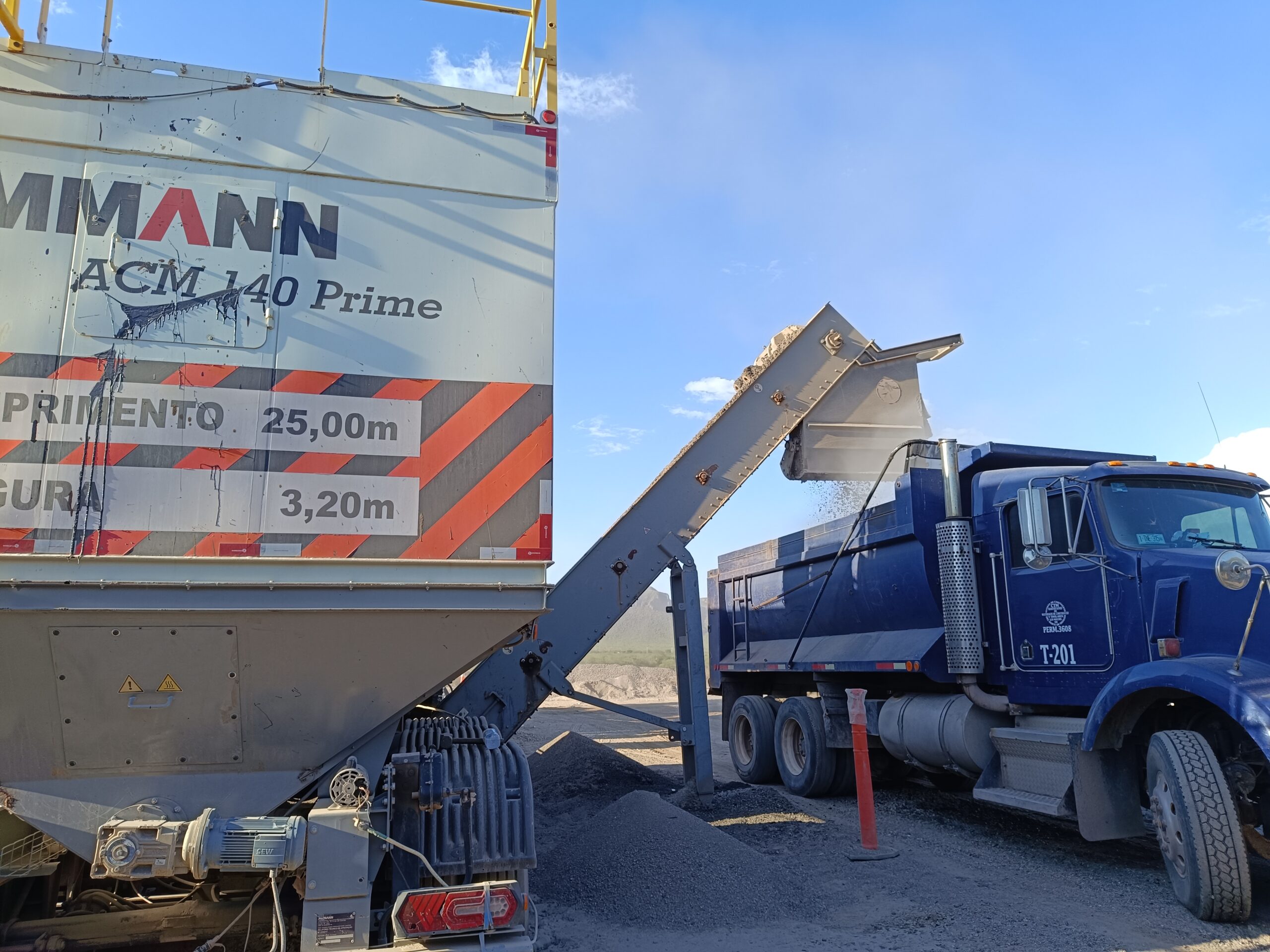 planta ammann